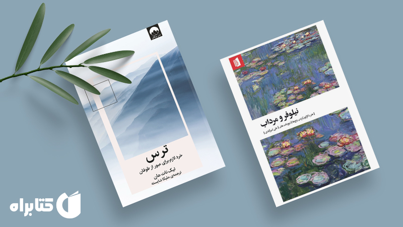 زندگینامه و دانلود بهترین کتاب‌های تیک نات هان
