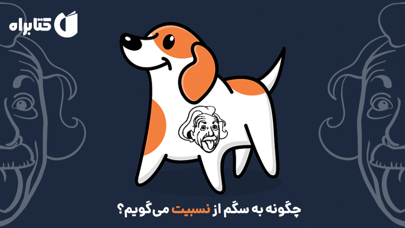 معرفی و دانلود کتاب چگونه به سگم از نسبیت می‌گویم؟