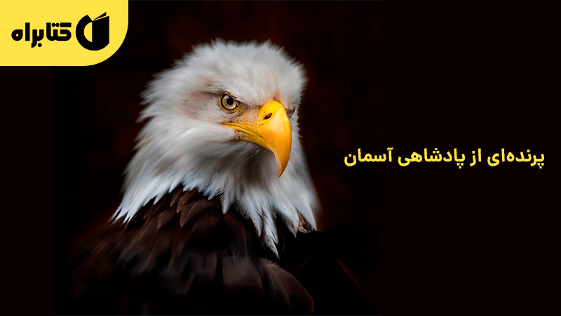 معرفی و دانلود کتاب صوتی پرنده‌ای از پادشاهی آسمان
