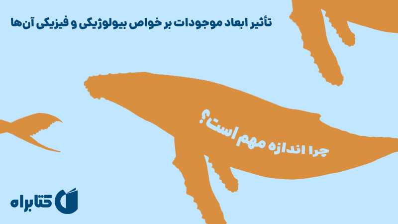 معرفی و دانلود کتاب چرا اندازه مهم است؟