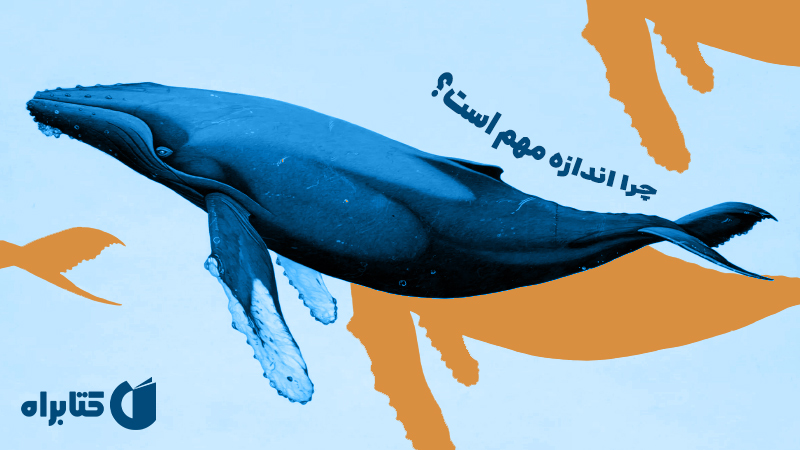 معرفی و دانلود کتاب چرا اندازه مهم است؟