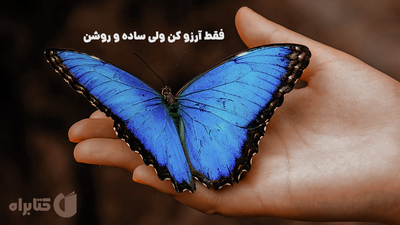 معرفی و دانلود کتاب فقط آرزو کن ولی ساده و روشن