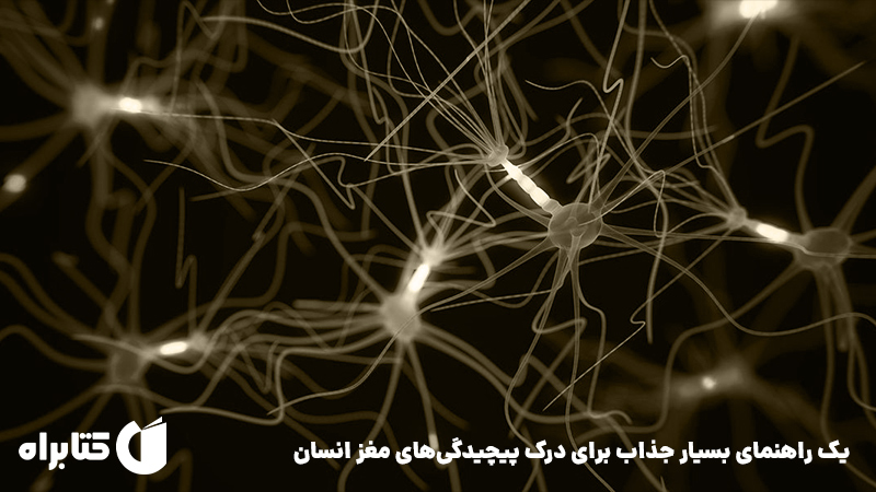 معرفی و دانلود کتاب مغز سخن چین