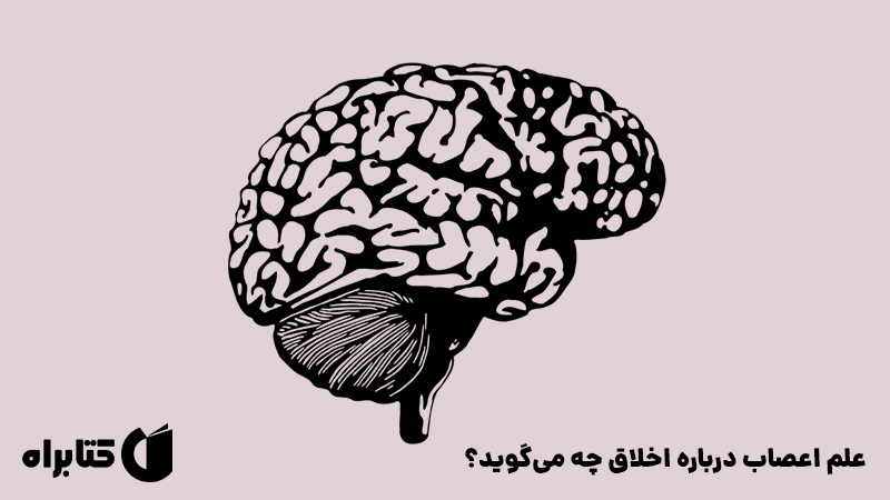 معرفی و دانلود کتاب اخلاق و مغز مشاور