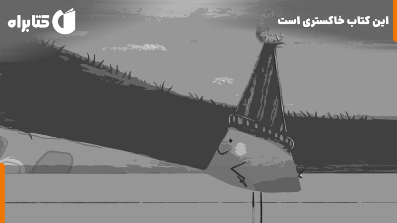 معرفی و دانلود کتاب این کتاب خاکستری است