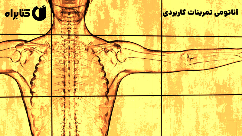 معرفی و دانلود کتاب آناتومی تمرینات کاربردی
