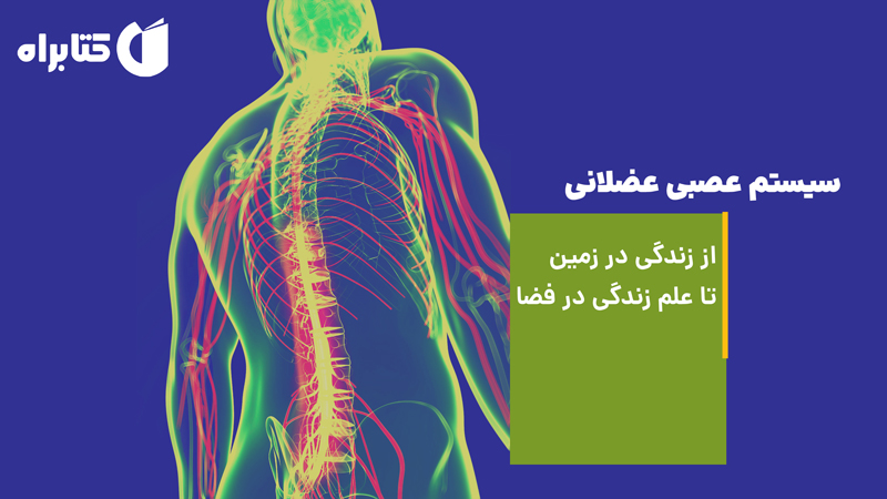 معرفی و دانلود کتاب سیستم عصبی عضلانی