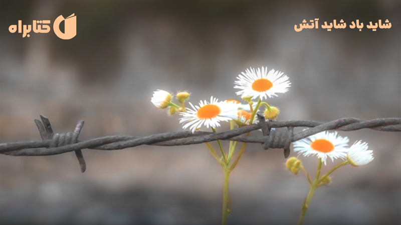 معرفی و دانلود کتاب صوتی شاید باد شاید آتش
