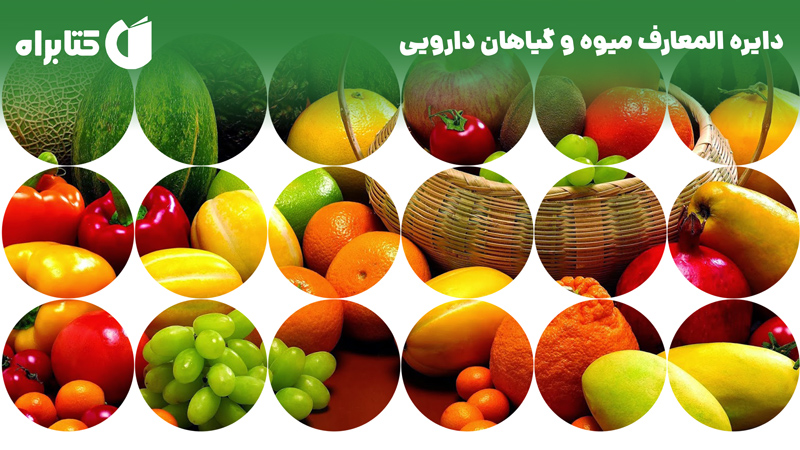 معرفی و دانلود کتاب دایره المعارف میوه و گیاهان دارویی