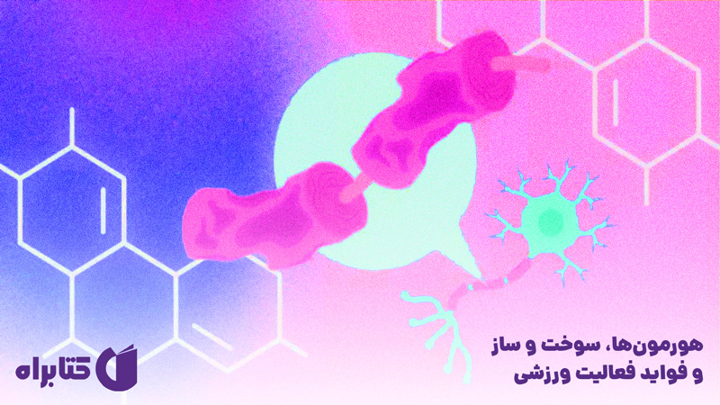 معرفی و دانلود کتاب هورمون‌ها، سوخت و ساز و فواید فعالیت ورزشی