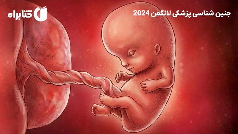 معرفی و دانلود کتاب جنین شناسی پزشکی لانگمن 2024