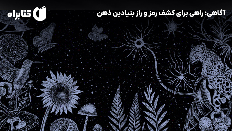 معرفی و دانلود کتاب صوتی آگاهی: راهی برای کشف رمز و راز بنیادین ذهن