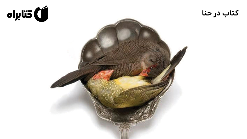 معرفی و دانلود کتاب در حنا