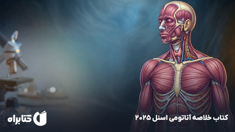 معرفی و دانلود کتاب خلاصه آناتومی اسنل 2025
