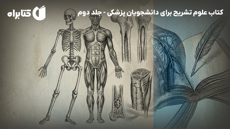 معرفی و دانلود کتاب علوم تشریح برای دانشجویان پزشکی - جلد دوم