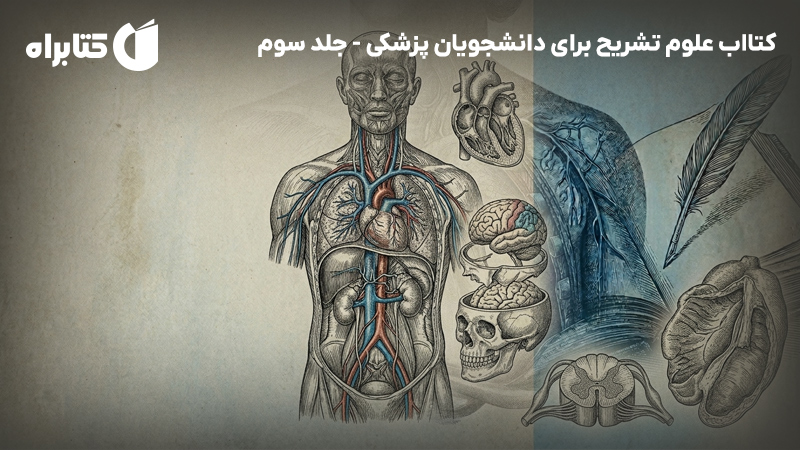 معرفی و دانلود کتاب علوم تشریح برای دانشجویان پزشکی - جلد سوم