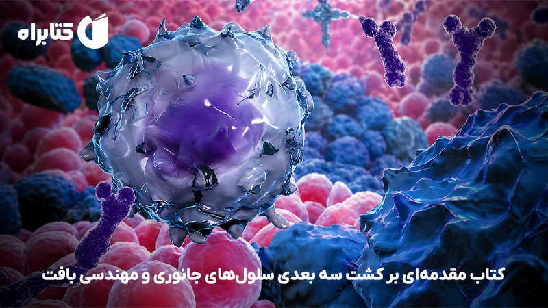 معرفی و دانلود کتاب مقدمه‌ای بر کشت سه بعدی سلول‌های جانوری و مهندسی بافت