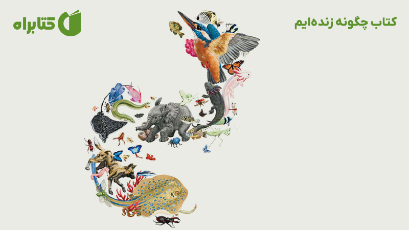 معرفی و دانلود کتاب چگونه زنده‌ایم
