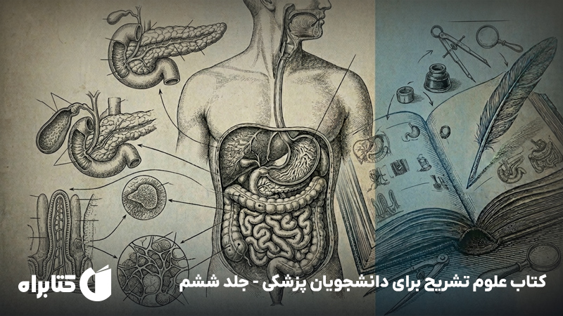 معرفی و دانلود کتاب علوم تشریح برای دانشجویان پزشکی - جلد ششم