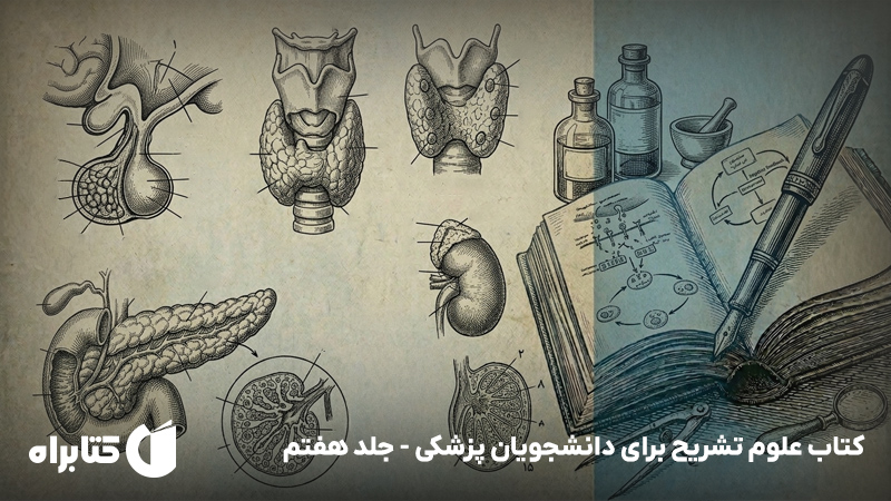 معرفی و دانلود کتاب علوم تشریح برای دانشجویان پزشکی - جلد هفتم