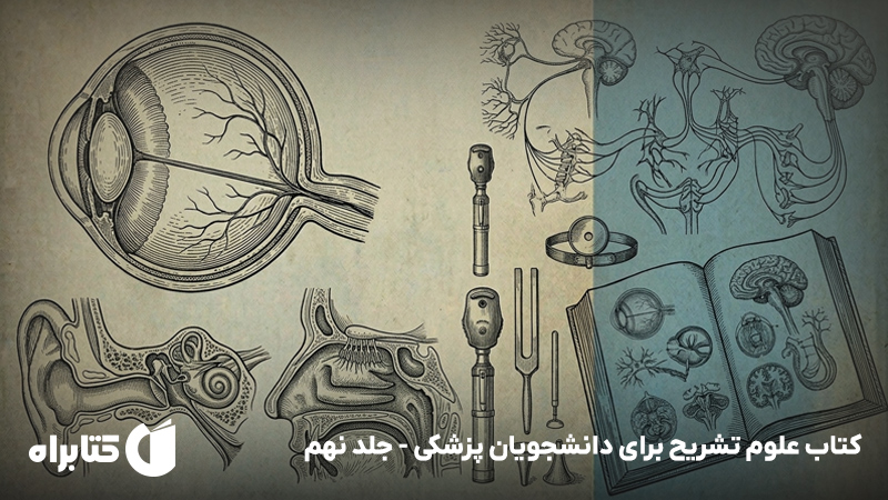 معرفی و دانلود کتاب علوم تشریح برای دانشجویان پزشکی - جلد نهم