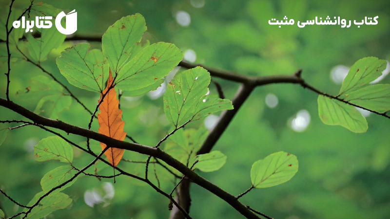 معرفی و دانلود کتاب روانشناسی مثبت