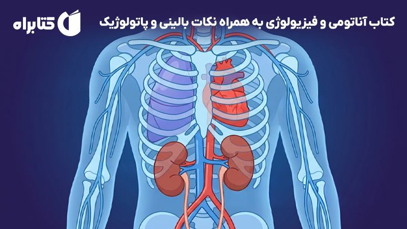 معرفی و دانلود کتاب آناتومی و فیزیولوژی به همراه نکات بالینی و پاتولوژیک