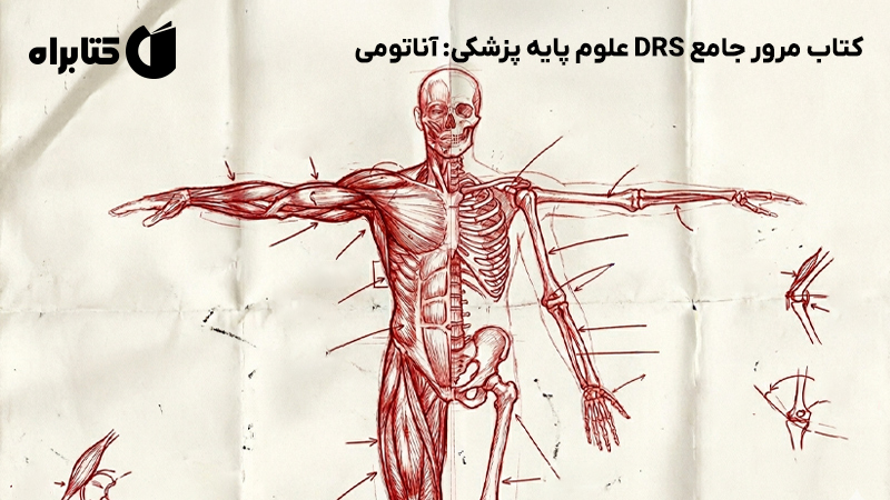 معرفی و دانلود کتاب مرور جامع DRS علوم پایه پزشکی: آناتومی