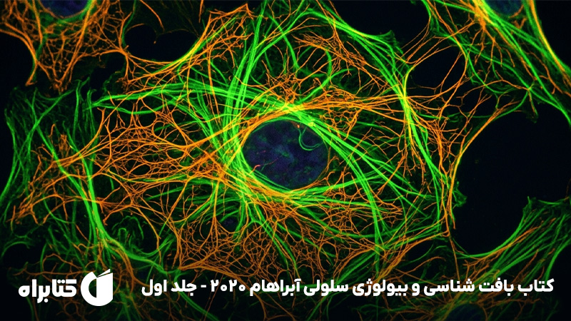 معرفی و دانلود کتاب بافت شناسی و بیولوژی سلولی آبراهام 2020 - جلد اول
