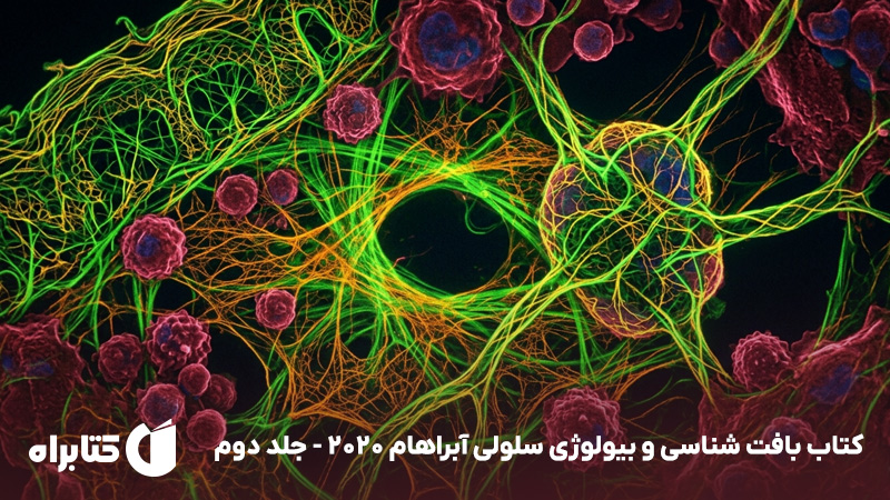 معرفی و دانلود کتاب بافت شناسی و بیولوژی سلولی آبراهام 2020 - جلد دوم
