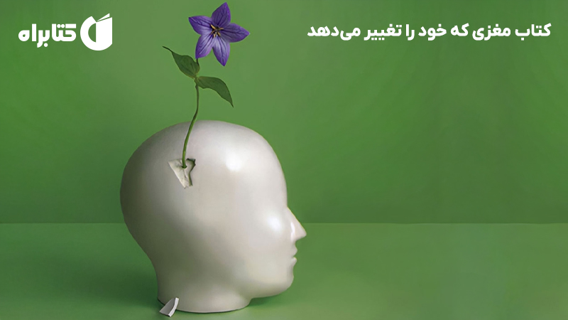 معرفی و دانلود کتاب مغزی که خود را تغییر می‌دهد