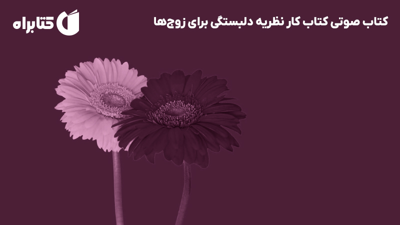 معرفی و دانلود کتاب صوتی کتاب کار نظریه دلبستگی برای زوج‌ها