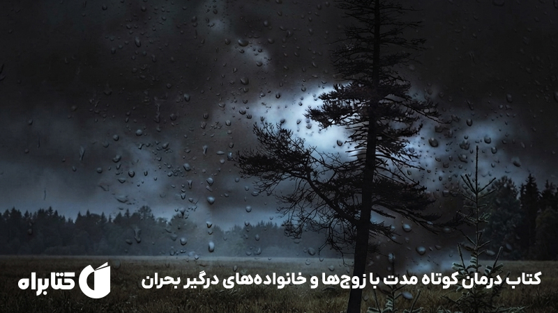 معرفی و دانلود کتاب درمان کوتاه مدت با زوج‌ها و خانواده‌های درگیر بحران