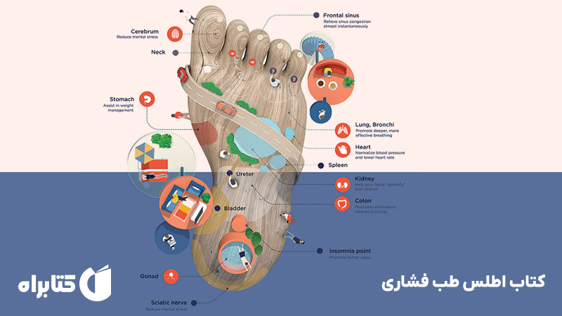معرفی و دانلود کتاب اطلس طب فشاری