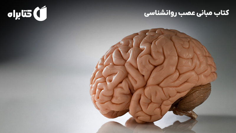 معرفی و دانلود کتاب مبانی عصب روانشناسی