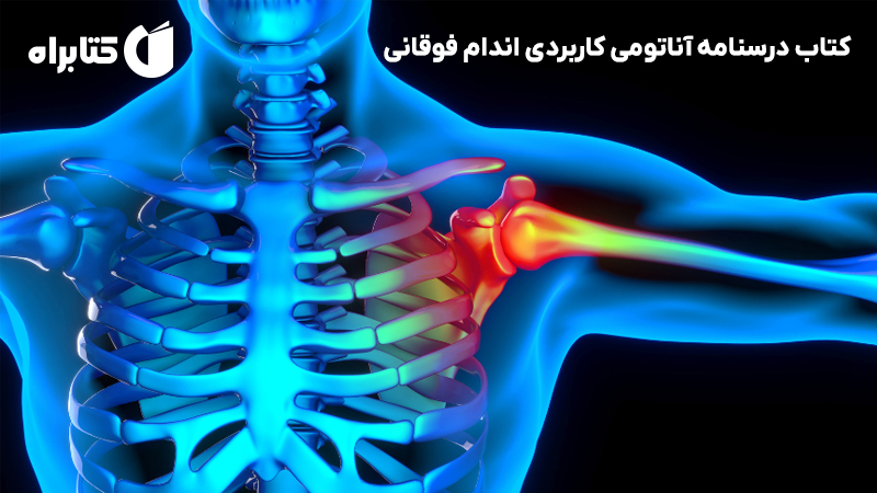 معرفی و دانلود کتاب درسنامه آناتومی کاربردی اندام فوقانی