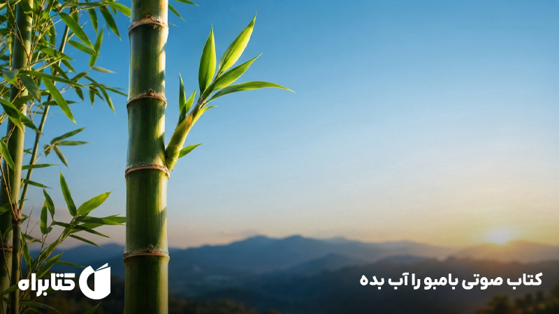 معرفی و دانلود کتاب صوتی بامبو را آب بده