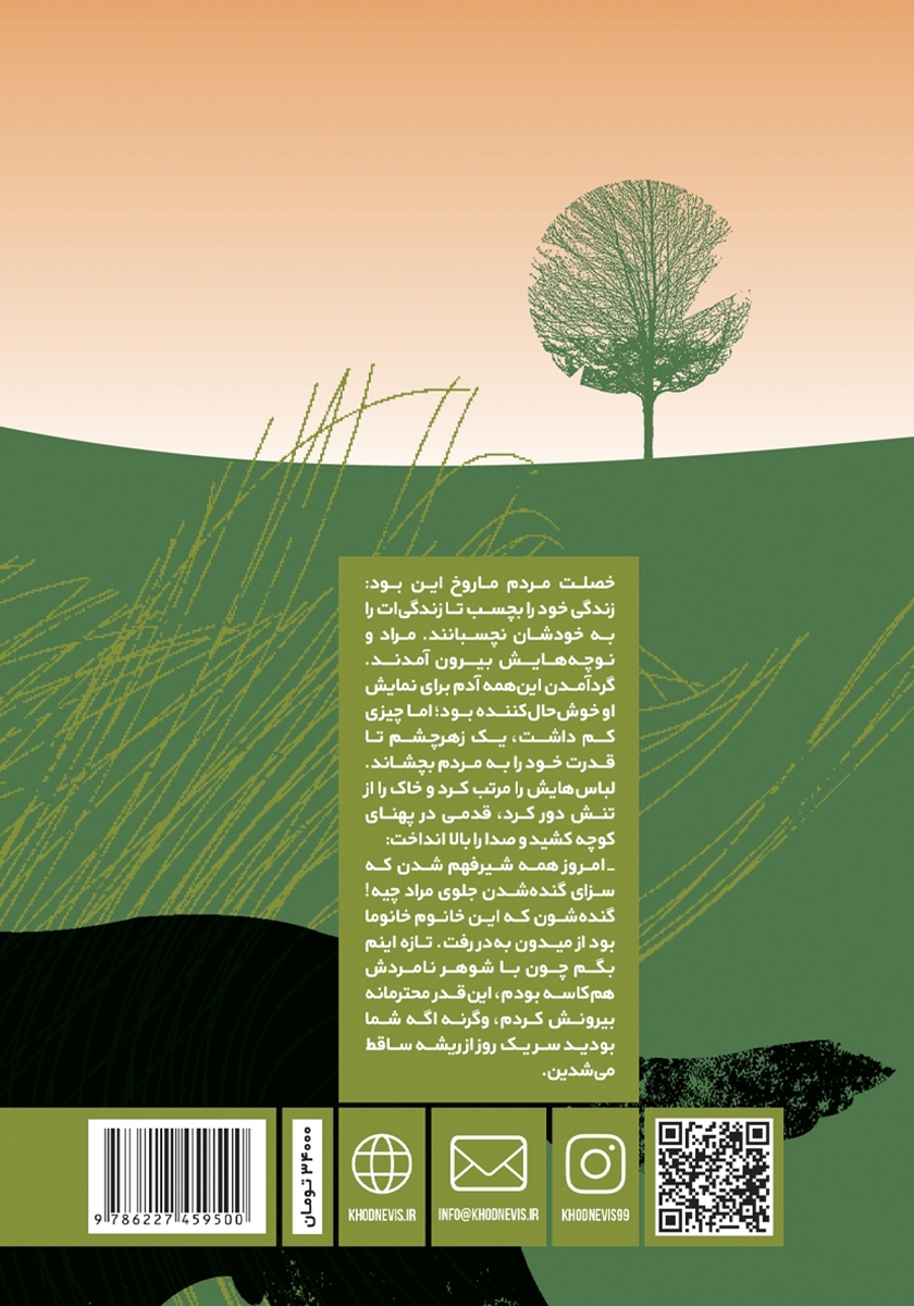 پشت جلد کتاب تپش خون