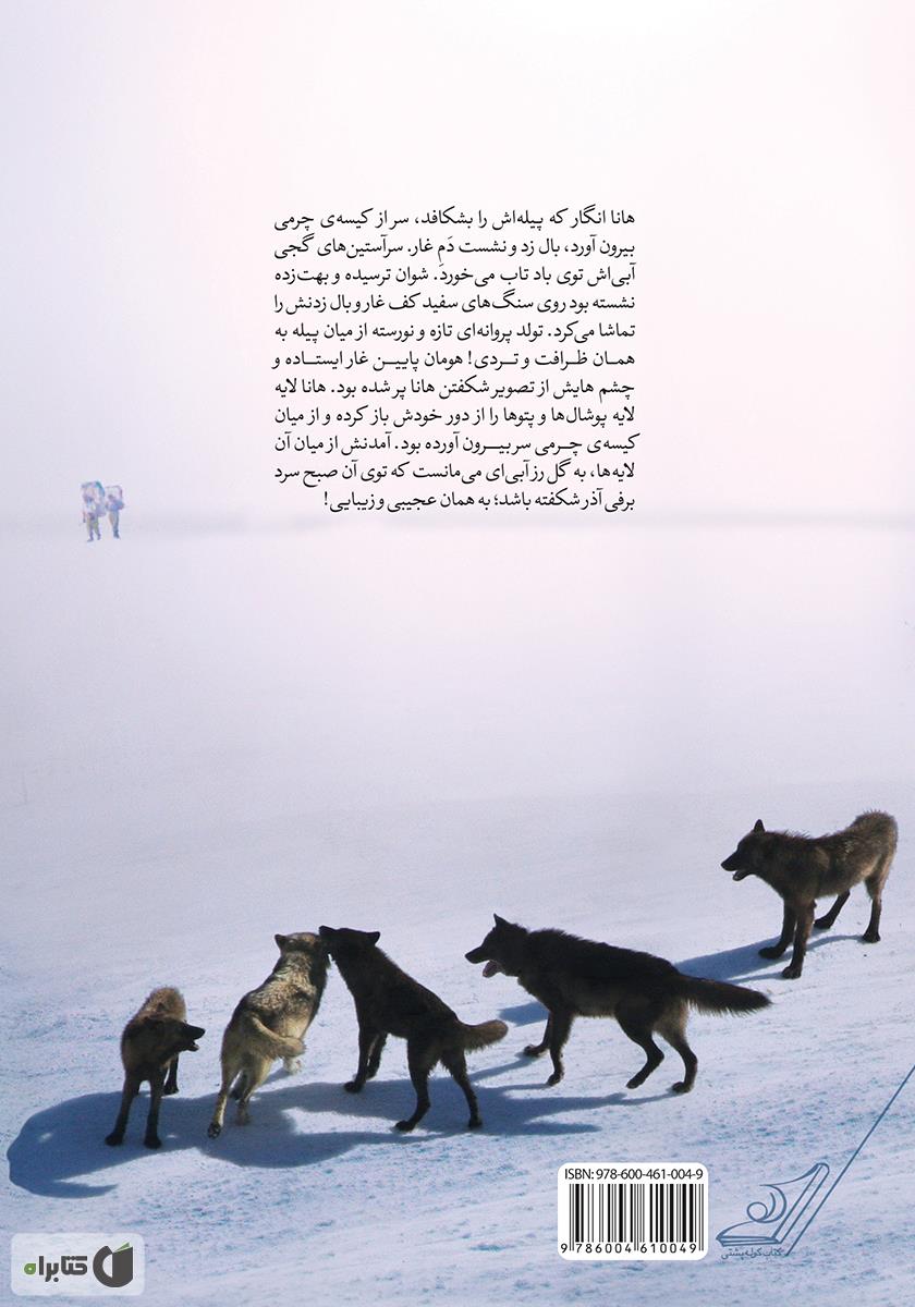 پشت جلد کتاب اینجا صدای گرگ‌ها بلندتر است