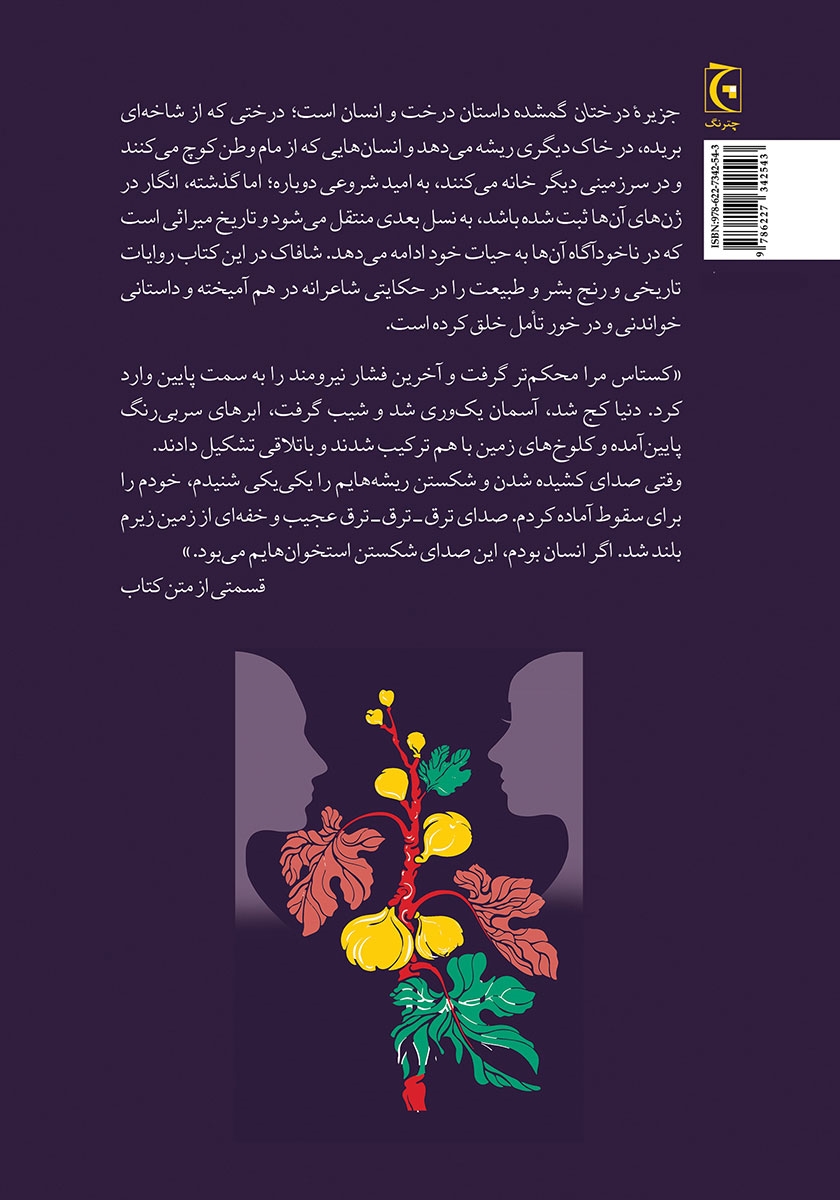 پشت جلد کتاب جزیره درختان گمشده