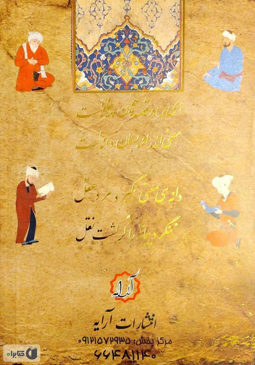 پشت جلد کتاب دانهی معنی: بازخوانی داستانهای مثنوی معنوی