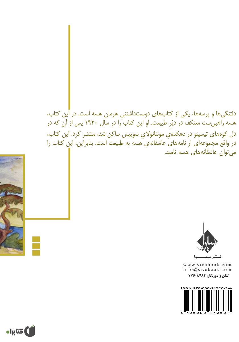 پشت جلد کتاب دلتنگی‌ها و پرسه‌ها