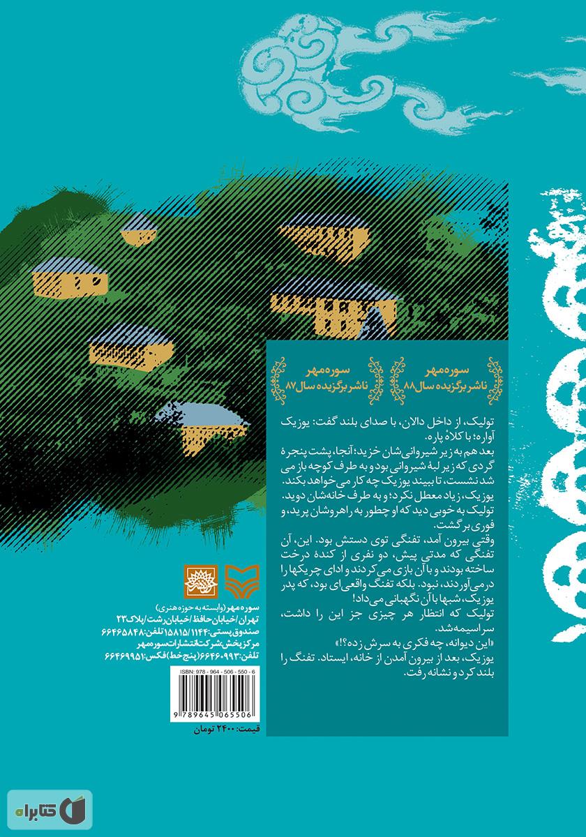 پشت جلد کتاب دوستی پر دردسر