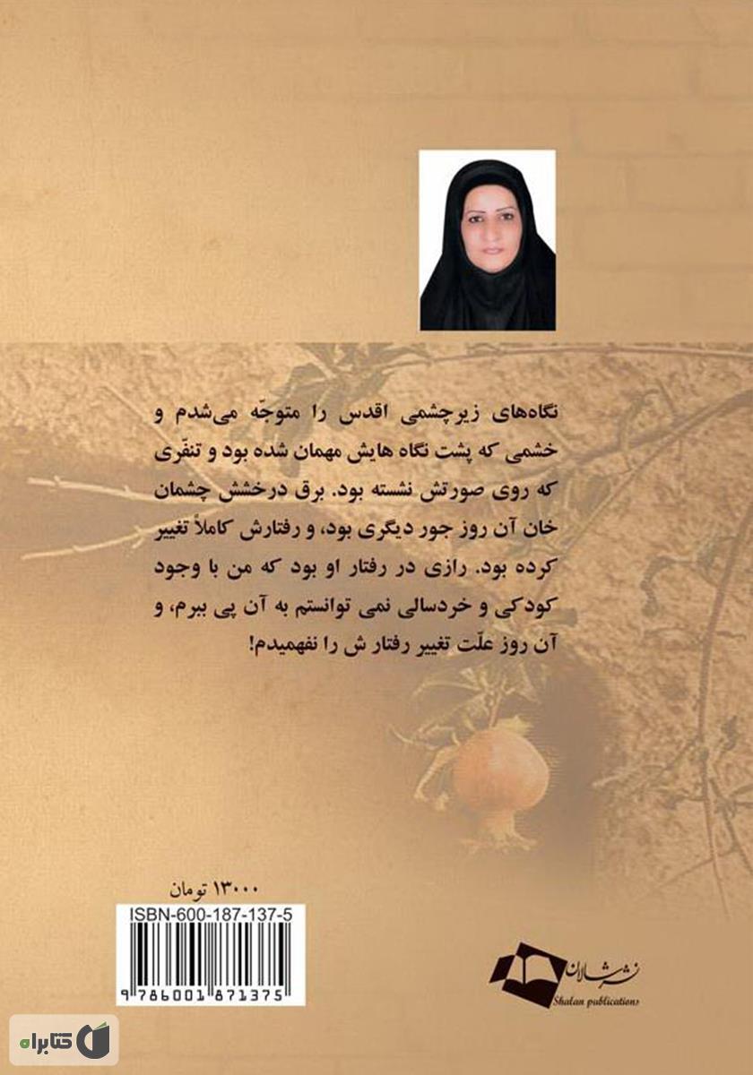 پشت جلد کتاب روزی که تقدیرم را نوشتی