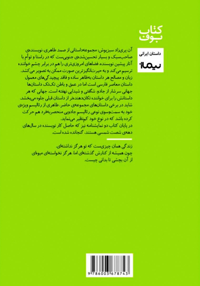 پشت جلد کتاب آن پری زاد سبزپوش