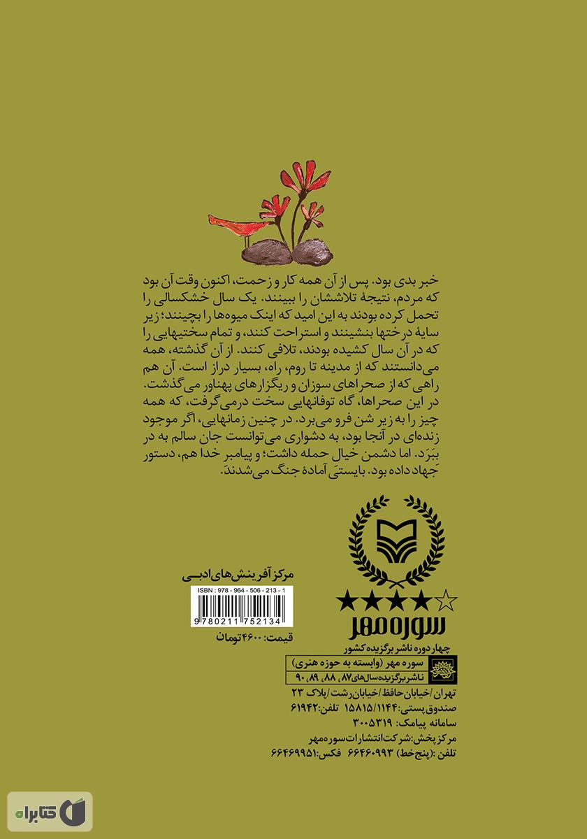 پشت جلد کتاب تشنه دیدار