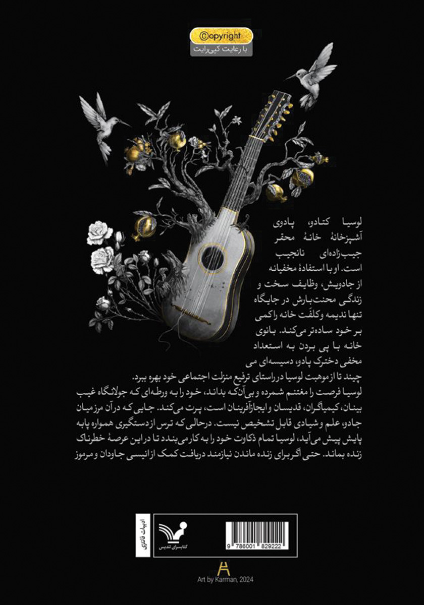 پشت جلد کتاب کتاب انیس