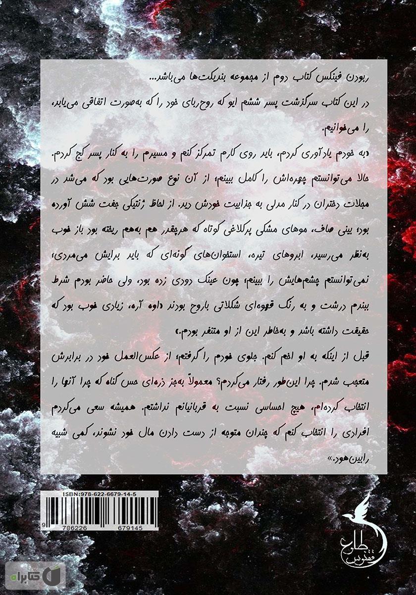 پشت جلد کتاب ربودن فینیکس