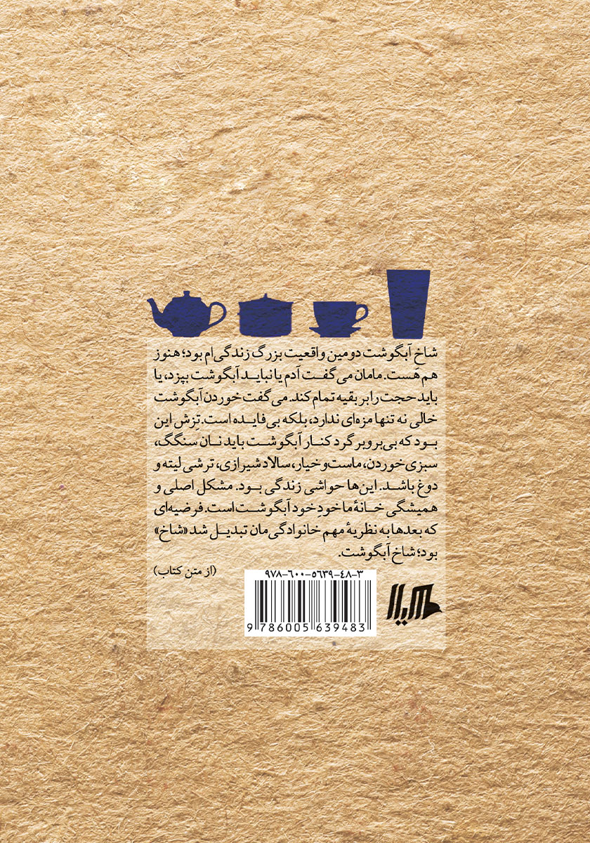 پشت جلد کتاب کتاب می‌خواستم نویسنده شوم، آشپز شدم