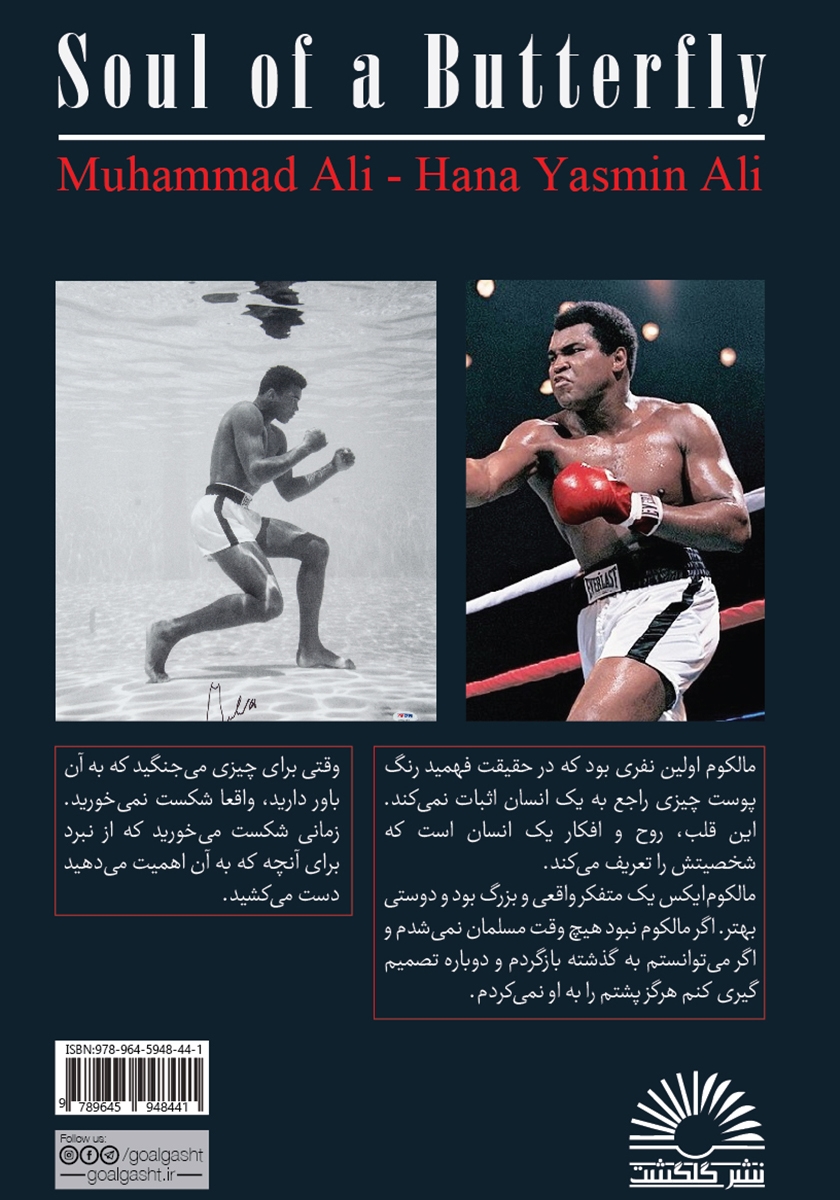 پشت جلد کتاب روح یک پروانه
